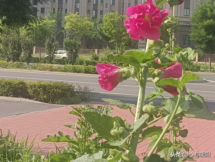 对老公彻底失望心寒想离婚怎么办?1. 心凉从来不是大吵大闹，是不再倾诉，不再期待