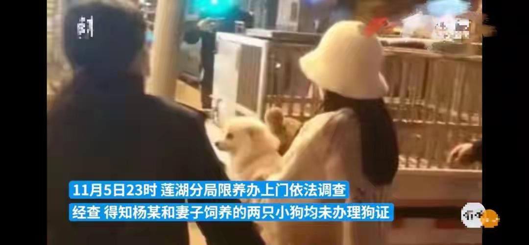 从情理上，家长护娃踹狗是本能反应，遛狗不拴绳惊吓孩童本就是狗主人全责；从言行上，