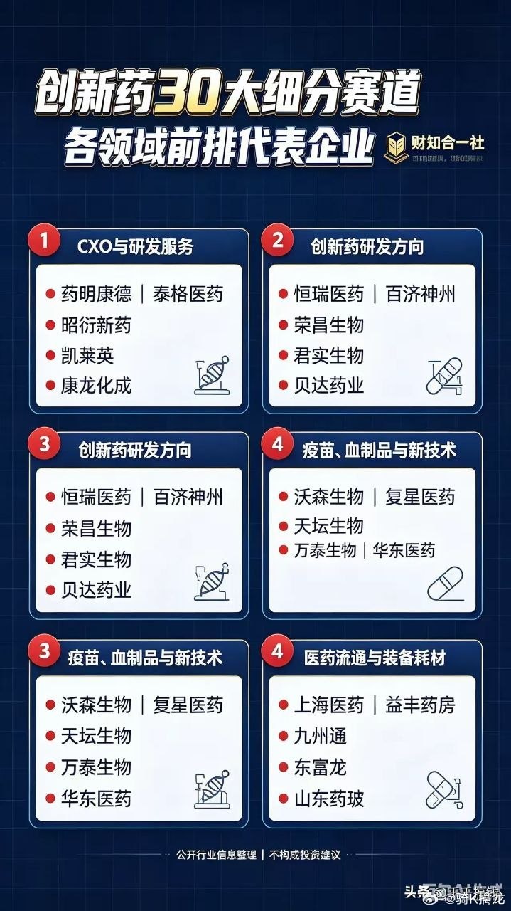 创新药赛道分层明晰，四大细分领域各有龙头创新药产业拆解出多条高景气细分赛道，形成