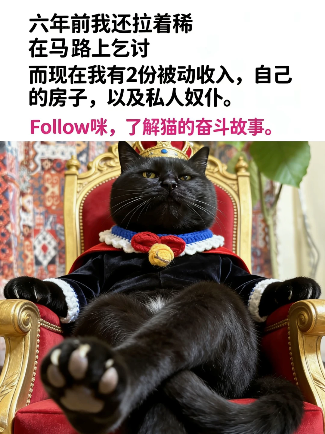 人类…你们就和咪学吧！学无止境