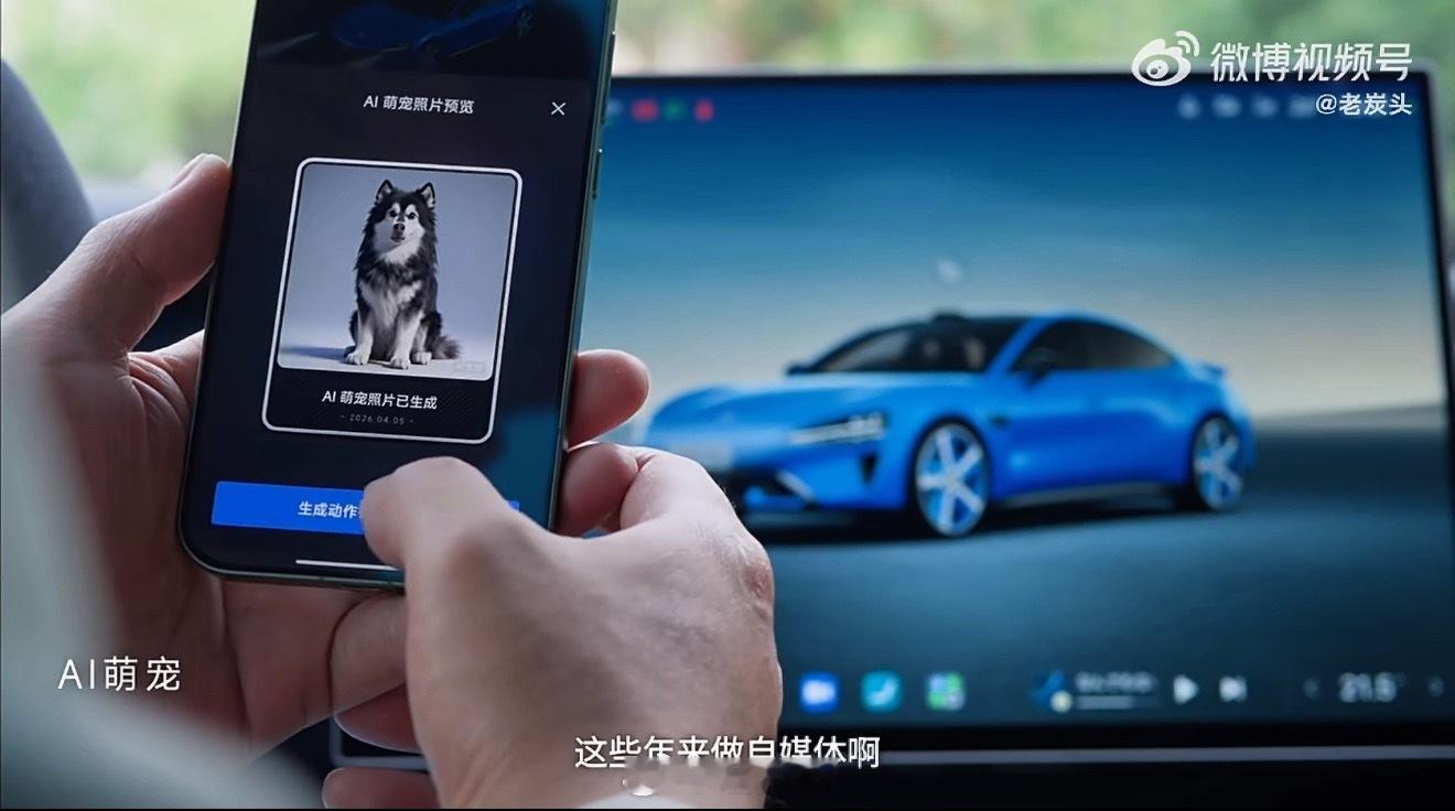 我最想停止的倒计时养宠人都懂，老年宠物更需要丰富环境来丰容，以此减缓认知衰退。老