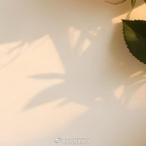 晚安心语 不用等别人说晚安，你对自己说的“好好睡”，才是最踏实的温柔。 