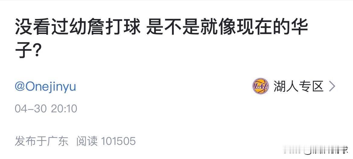没看过幼詹打球 是不是就像现在的华子？