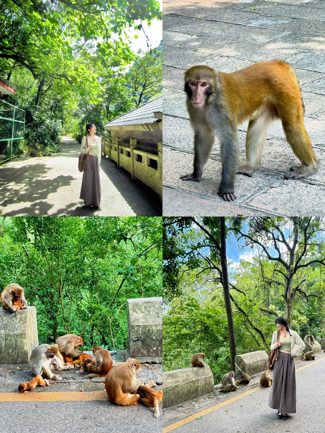 📍贵阳黔灵山攻略来咯！能劝一个是一个……