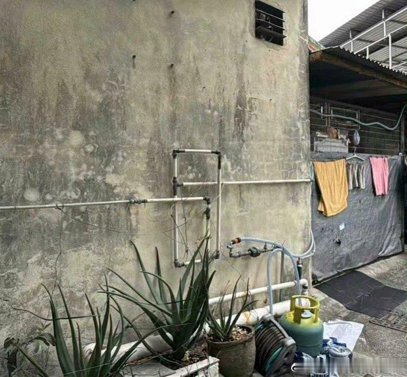 阎肃观察肃言肃语香港六旬男子死于家中其妻被控谋杀 【香港六旬男子死于家中，其妻被