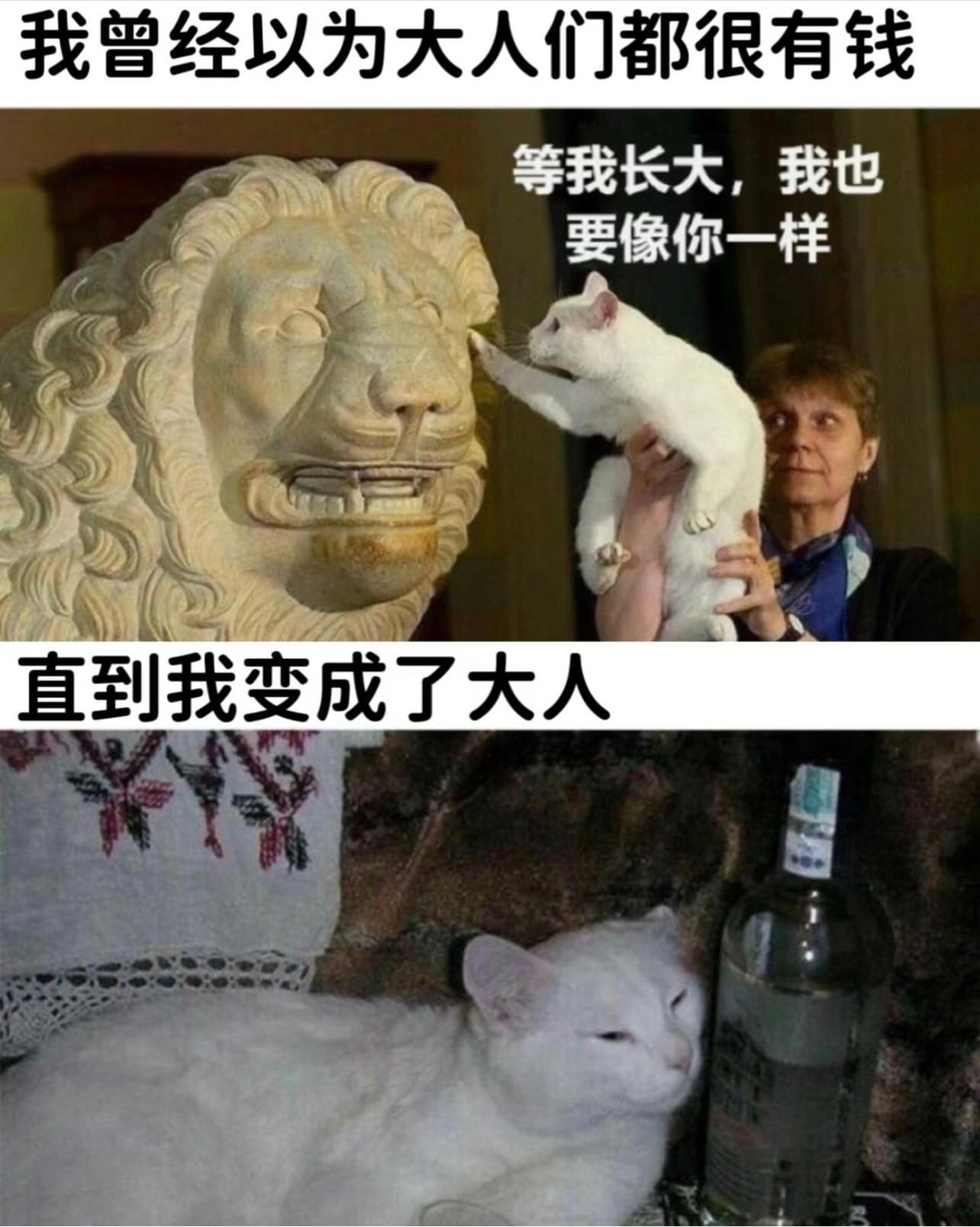 彻底败了#今日memes# //#我的春日狂欢日记# ​​​