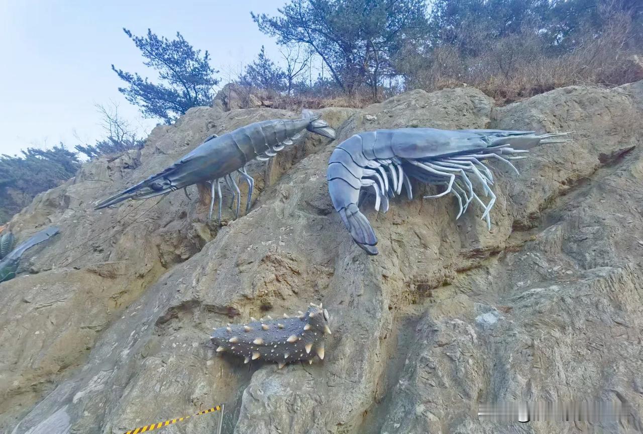 一个梦在心海荡漾
一首歌在脑海回旋
十八盘上走一走
就走进绝佳风景
所有的惊奇