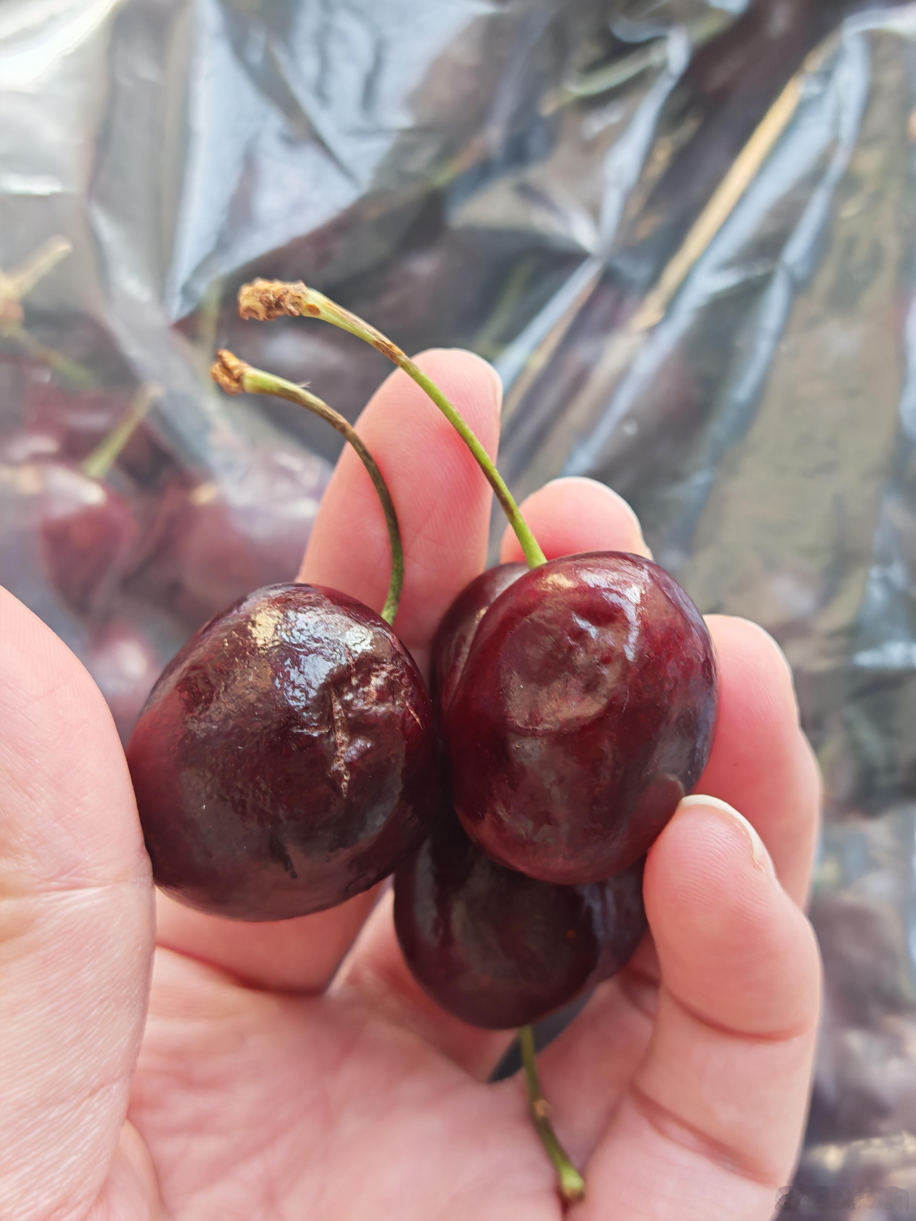 车厘子最近车厘子价格降了，买了个3J五斤盒装的，一百五，现在都是海运过来的，品质