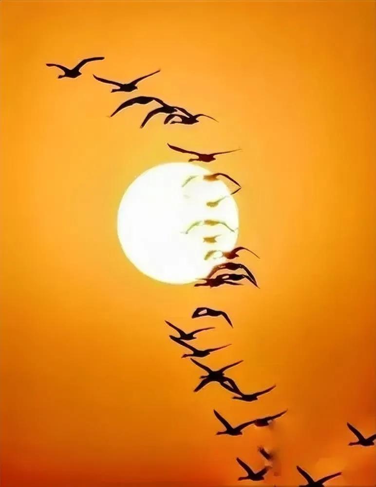 
 人               天             
 海     