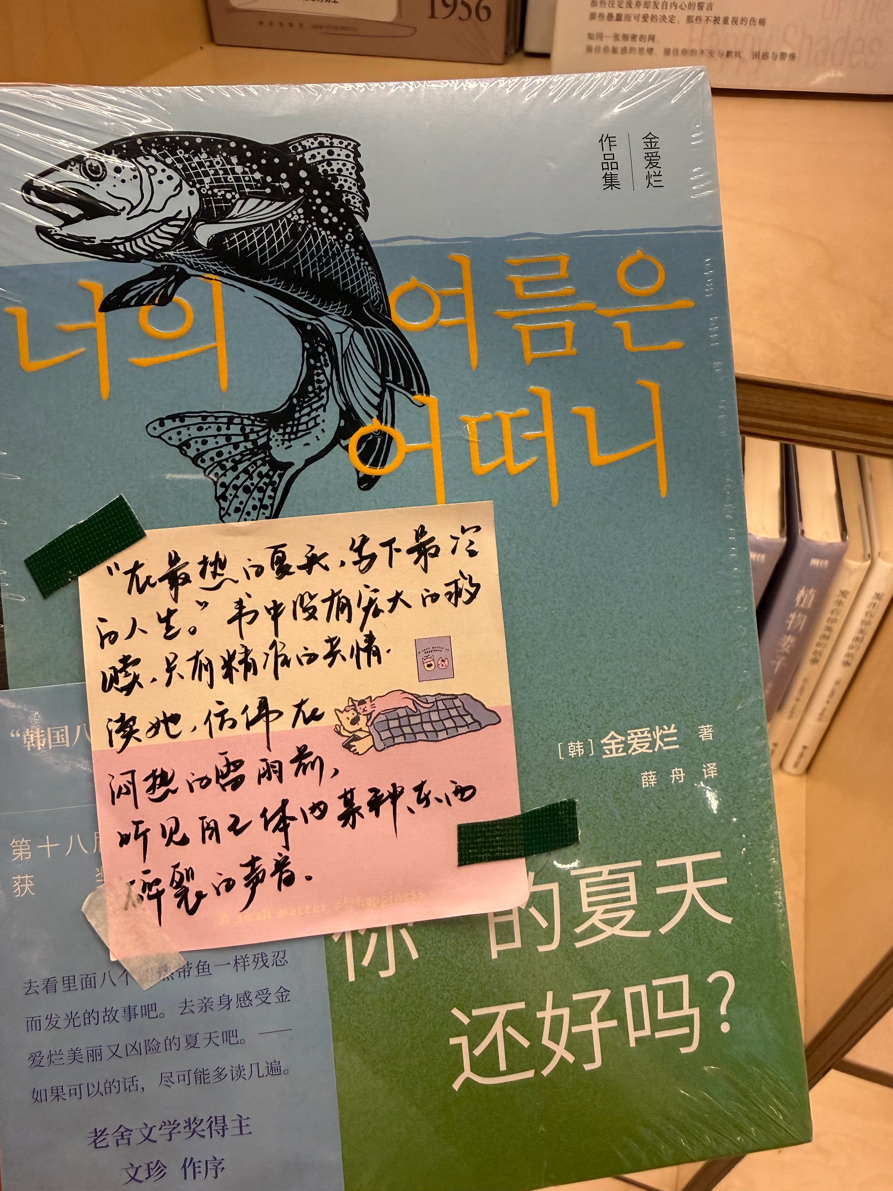 生活中总是能观察到小沈月的关联物。  这说起来很容易，但也并不总是很容易，所以每