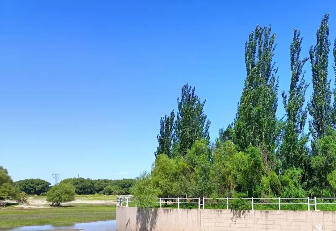 看到文旅部的新数据，忽然觉得心里暖暖的——上半年32.85亿人次在路上，比去年多