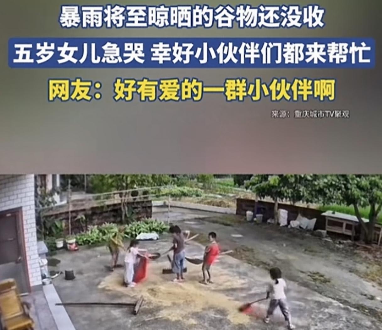 5岁小女孩暴雨前哭着护粮，一群小孩自发组队救人世间最纯善意
 
全网网友被一段乡