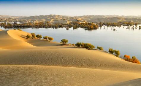 有人给治理塔克拉玛干沙漠，出了个怪招。不种树，不砸钱浇水，反过来，给整个沙漠盖上