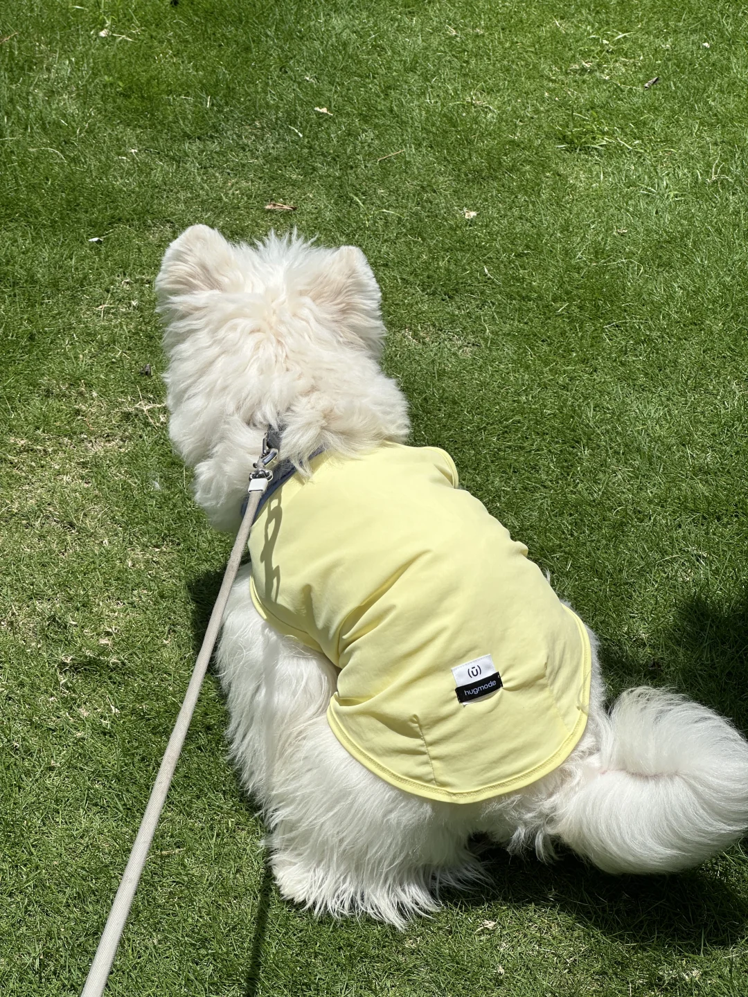 深圳这个天气是认真的吗🌞
