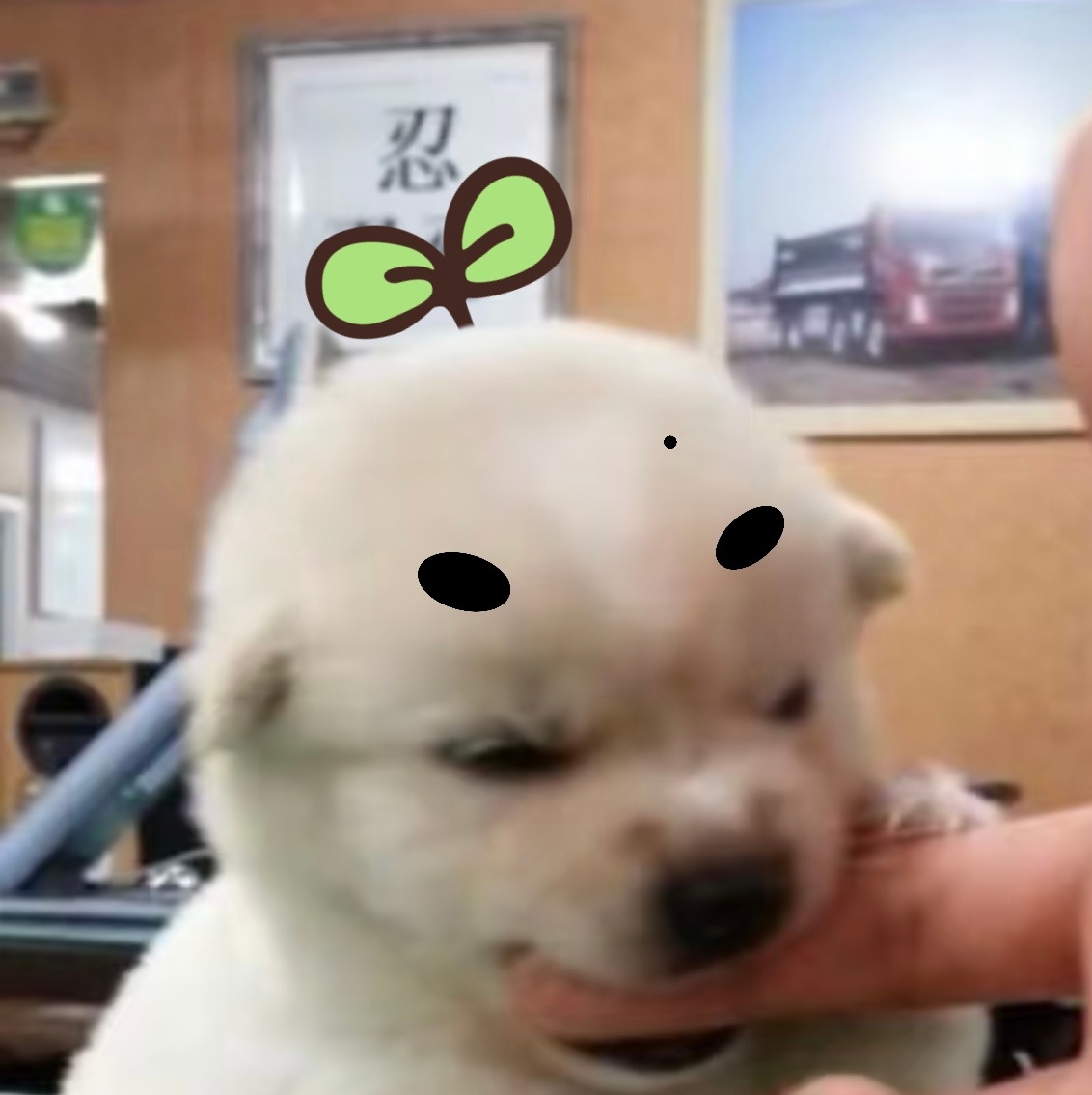 惹丸不高兴的下场 