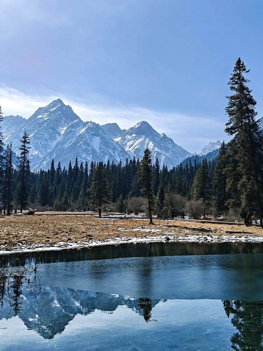 西安出发🚗打卡李子柒同款🌲北欧森林！