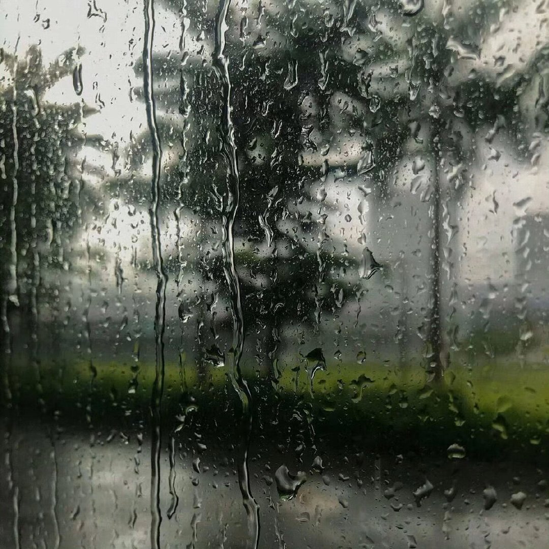 最近天气真的很恶劣啊 有些地方的宝宝们一定要注意安全互动贴 会回访