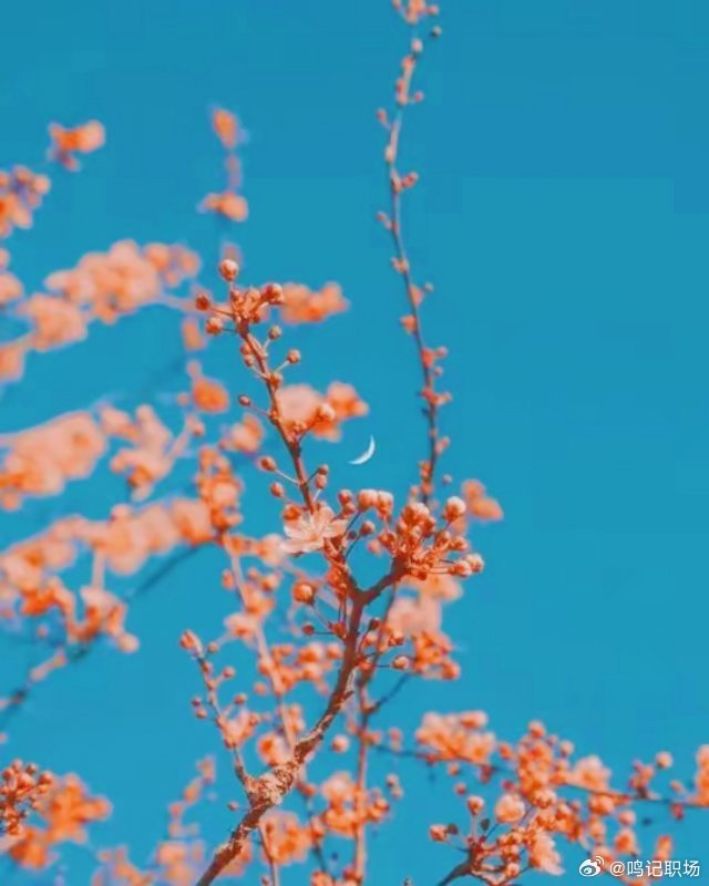 为人，不可太傲；相处，不可太毒；做事，不可太绝；说话，不可太满。得饶人处且饶人，