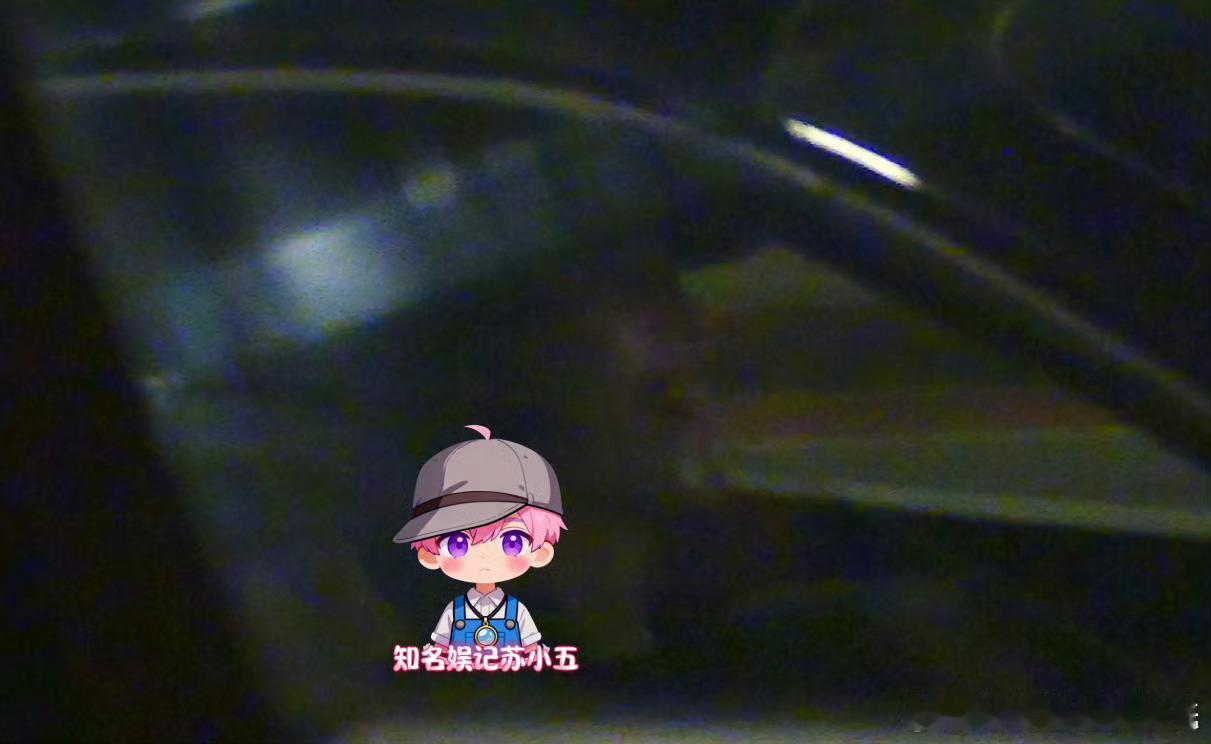 孙怡送异性牌友回家孙怡深夜送异性牌友回家 知名娱记苏小五拍到孙怡深夜和异性牌友从
