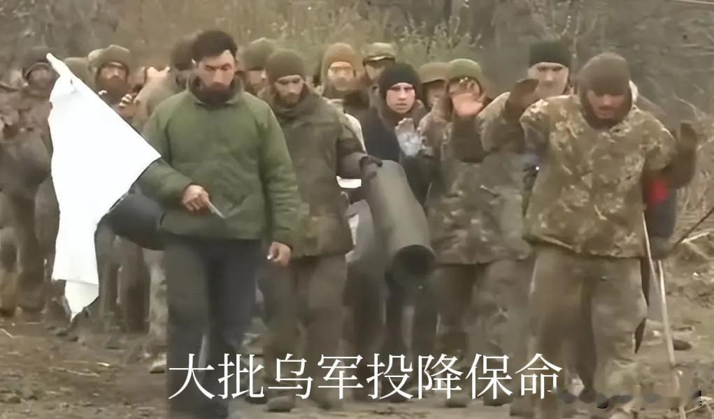 将帅无能，累死三军！昨天，乌总统泽连斯基签署法令:将乌克兰战时状态及总动员令，再