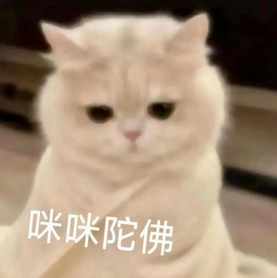 求助贴：中医考研复试直系学长学姐📮