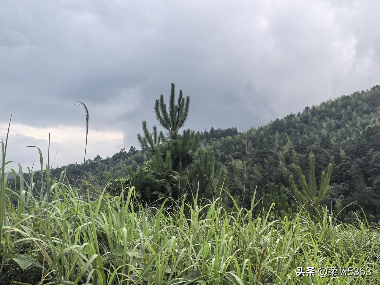 能感知到幸福是一种稀缺能力。因为大多数人都感知不到幸福了。

我觉得自己很幸福，