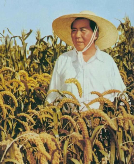 毛主席当年防止领导干部腐败，又是5.7干校，又是三三制（三分之一时间在机关办公，