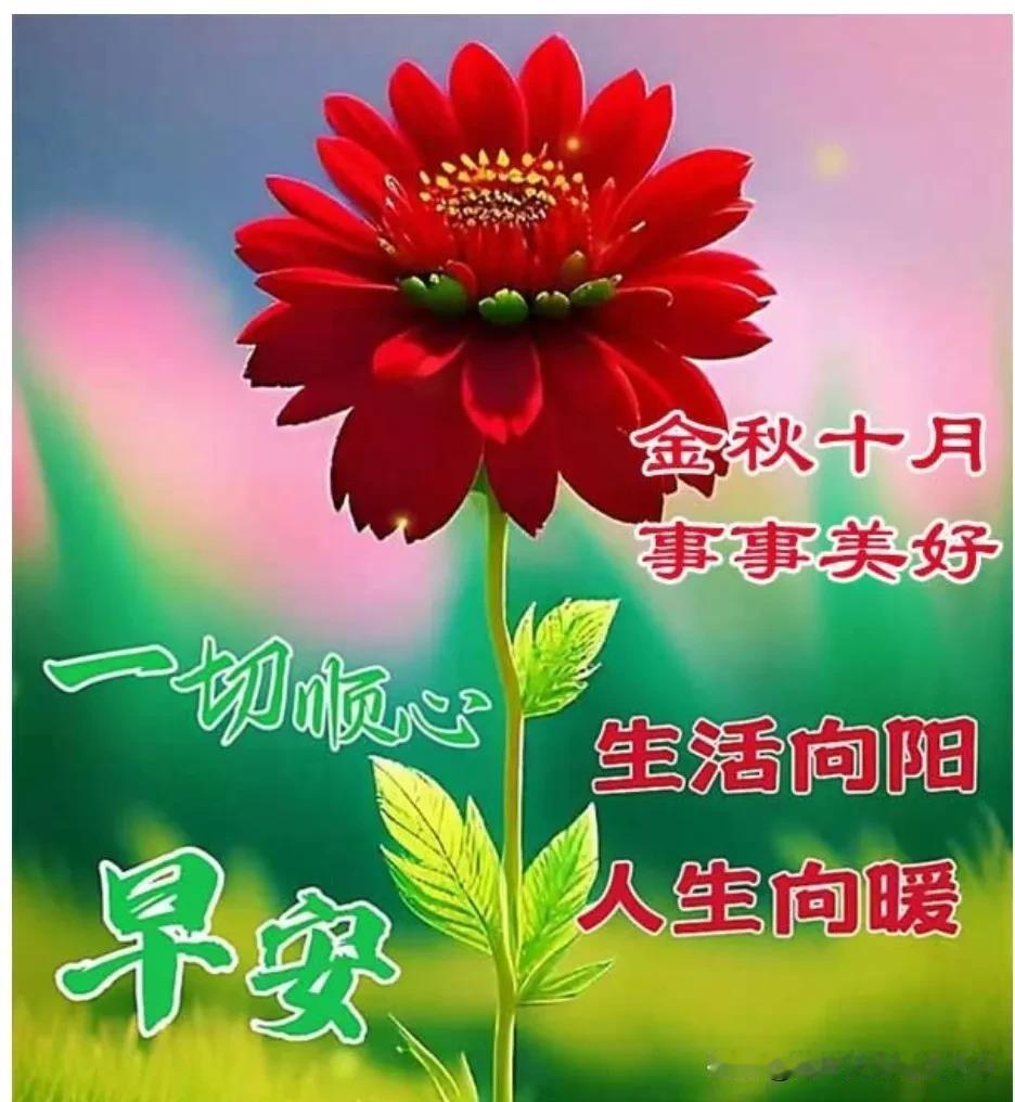 秋晨问候送给你，
愿你平安又吉祥；
事事顺心皆如意，
健康快乐笑开颜。