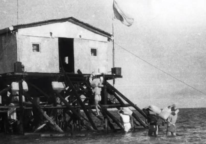 1990年，南薰礁11名守礁战士突然失联，等调查组赶到时，6人死亡，5人连同唯一