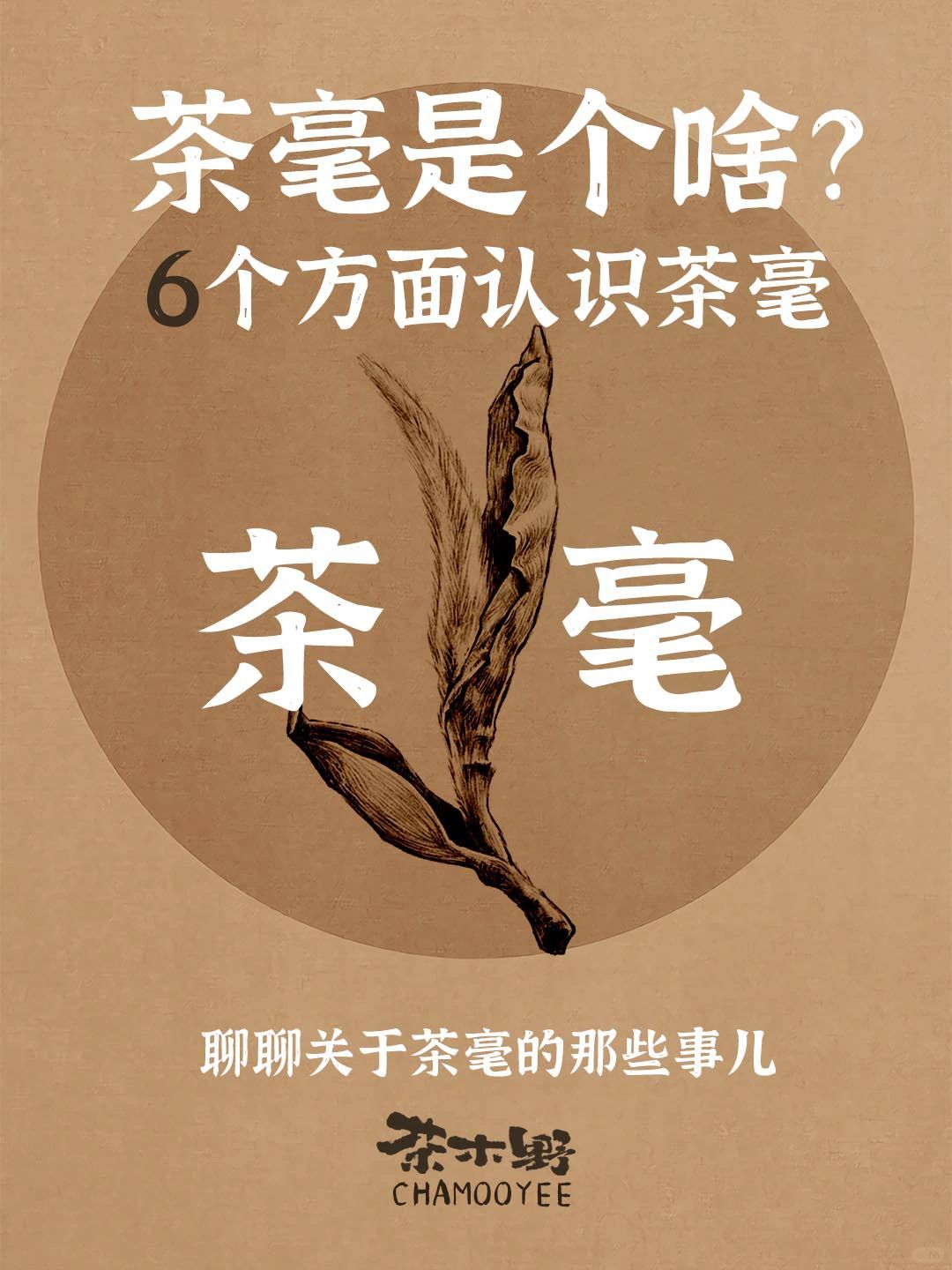 茶知识丨什么是茶毫，一文从6各方面说茶毫