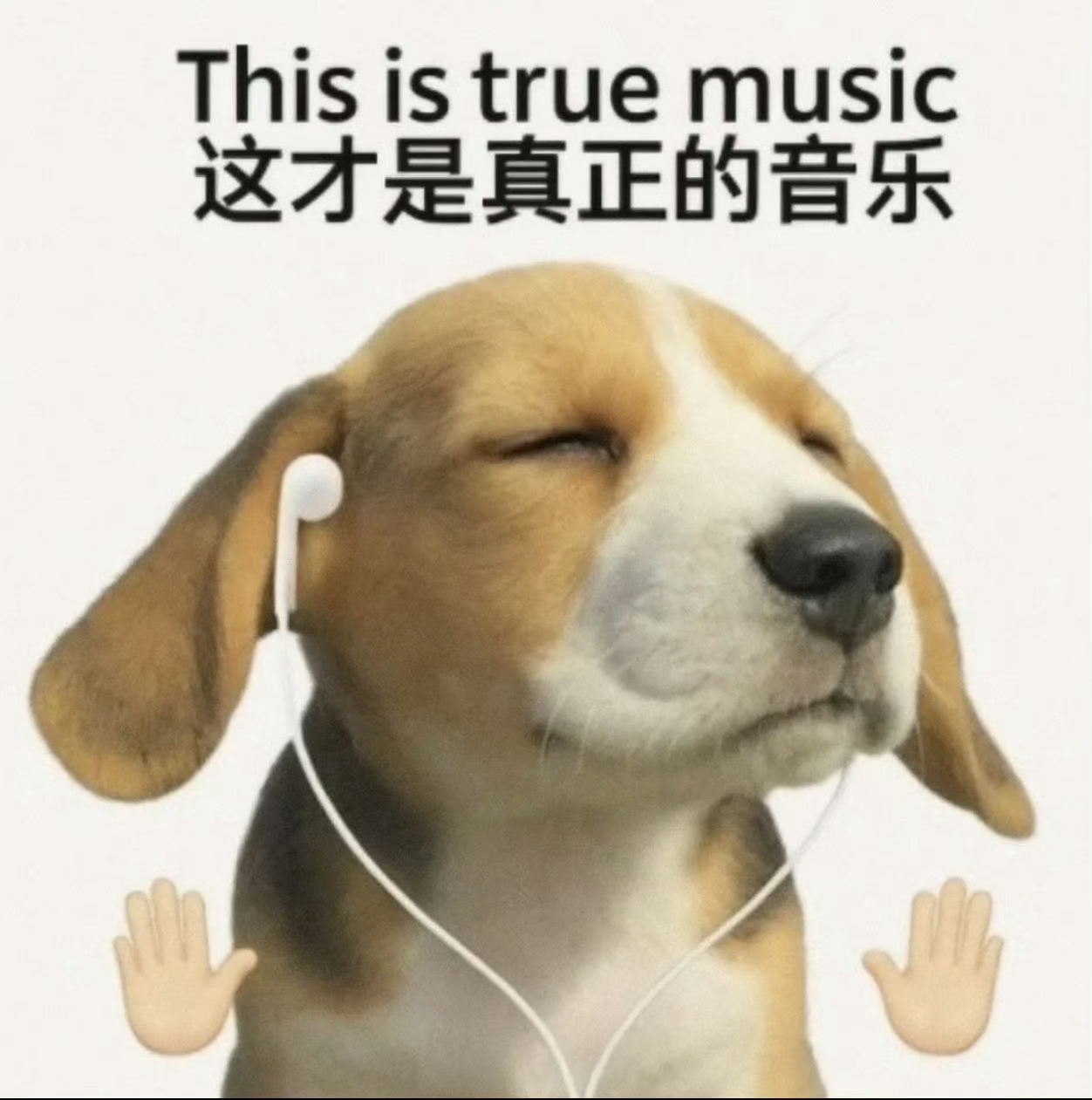 真正的艺术家 ​​​