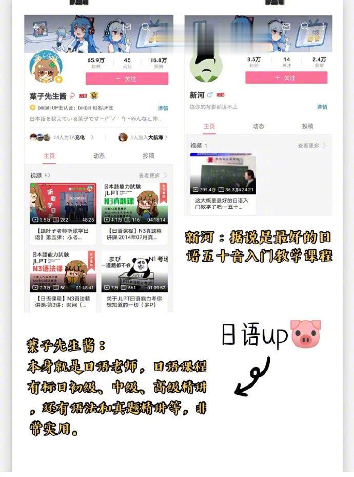 B站上有哪些可以免 费自 学小语种的up主？ ​​​​