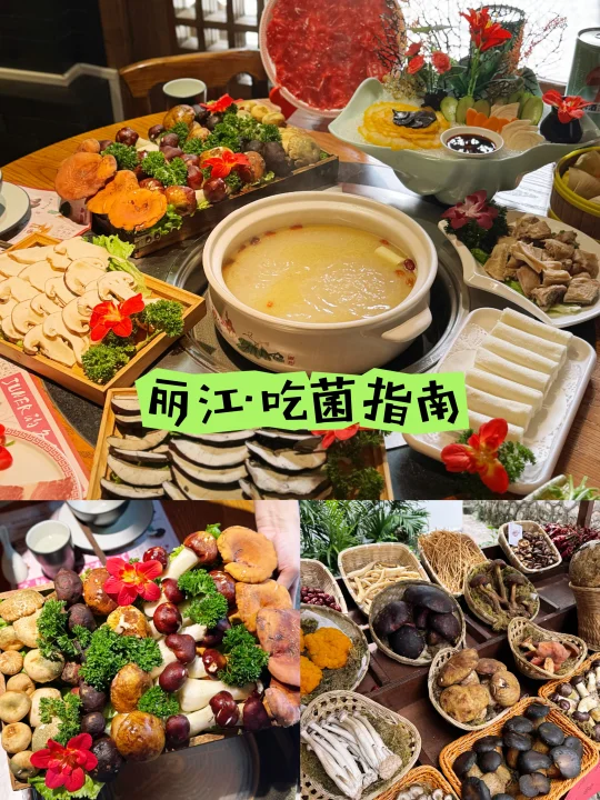 来丽江，吃菌才是正经事