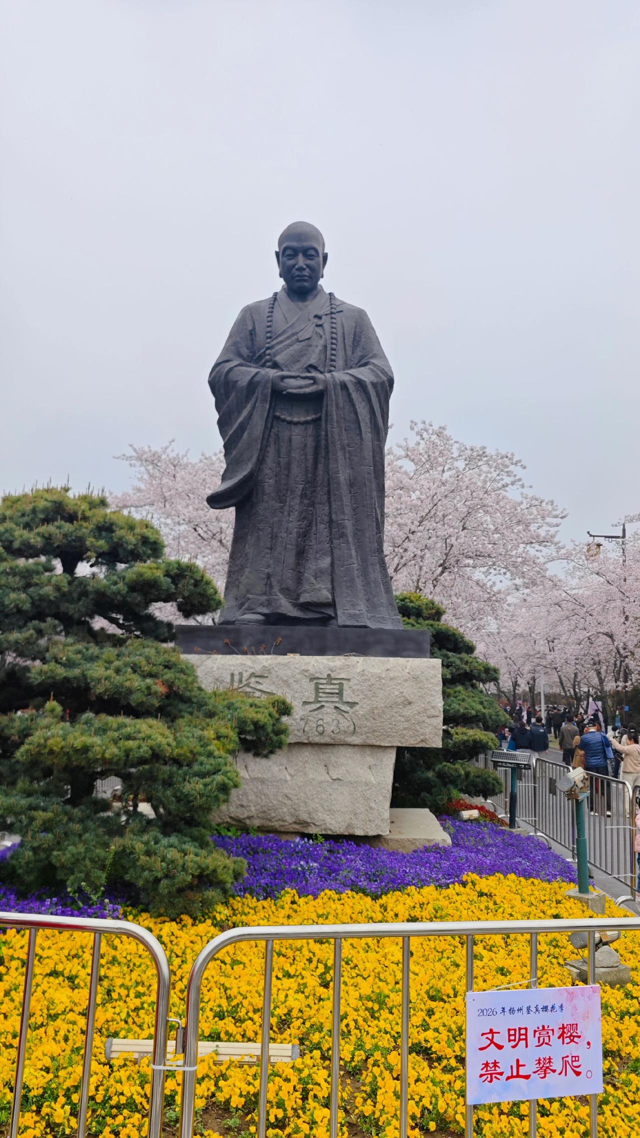 扬州的春天，是被鉴真路的樱花铺开来的。不用去挤那些网红景区，烟花三月往蜀冈脚下一