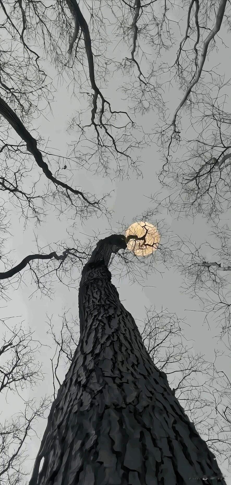 披上旧雪，苍老不语！
我见万物，万物叹息！
我见长夜，长夜沉寂！
我见我心，我心