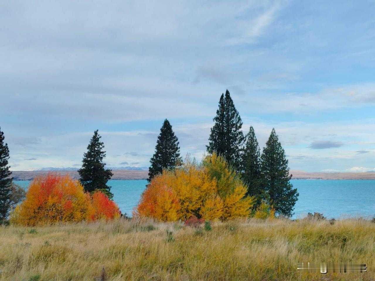 人工增降及时雨，科技兴农保春耕。
清风华芳草萃，雨后尘净天蓝。
