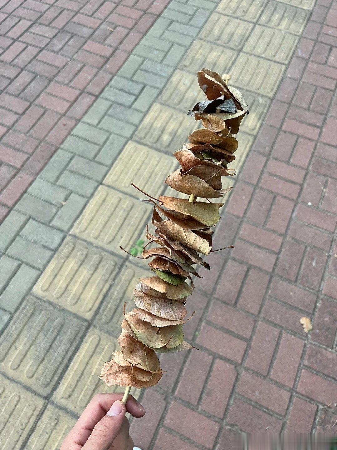 吃了我的串就别不开心了 ​​​