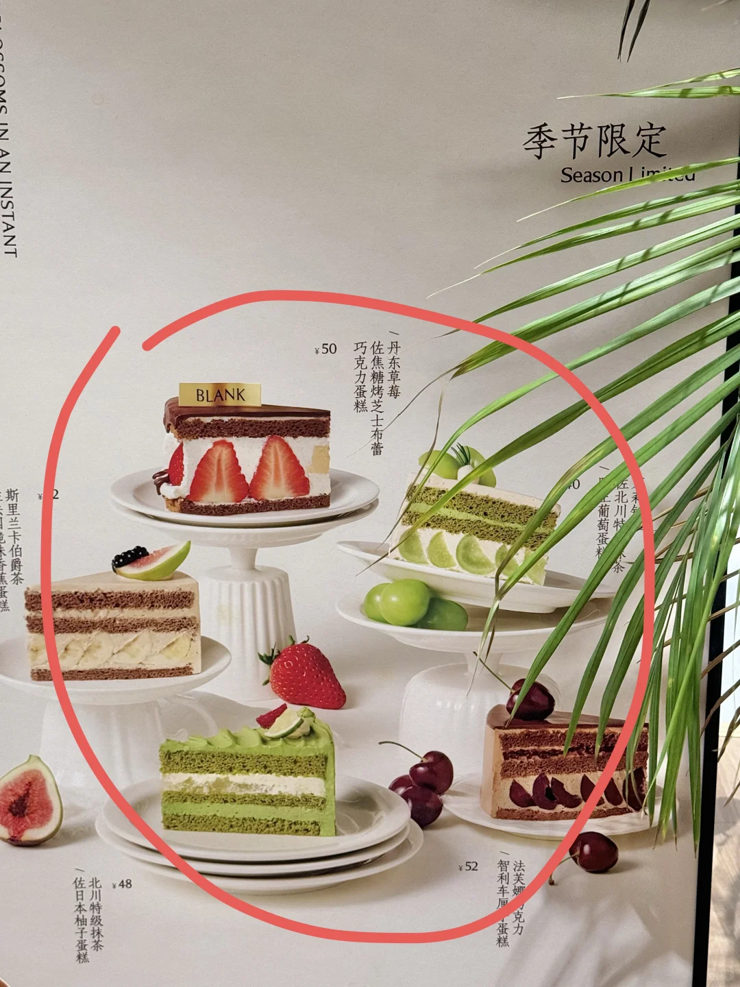 茉莉奶白你😅真的改行卖蛋糕🍰啦。。。。