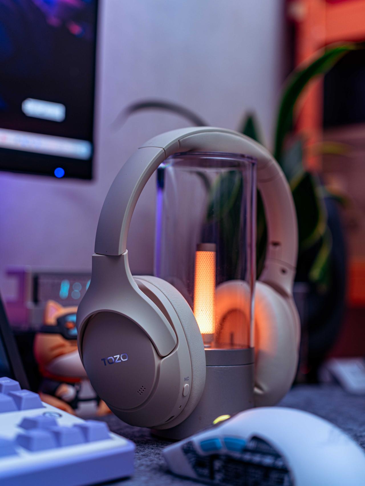 音质出众的降噪神器，不到300元的超值之选！
最近发现好多博主都在用这款 TOZ