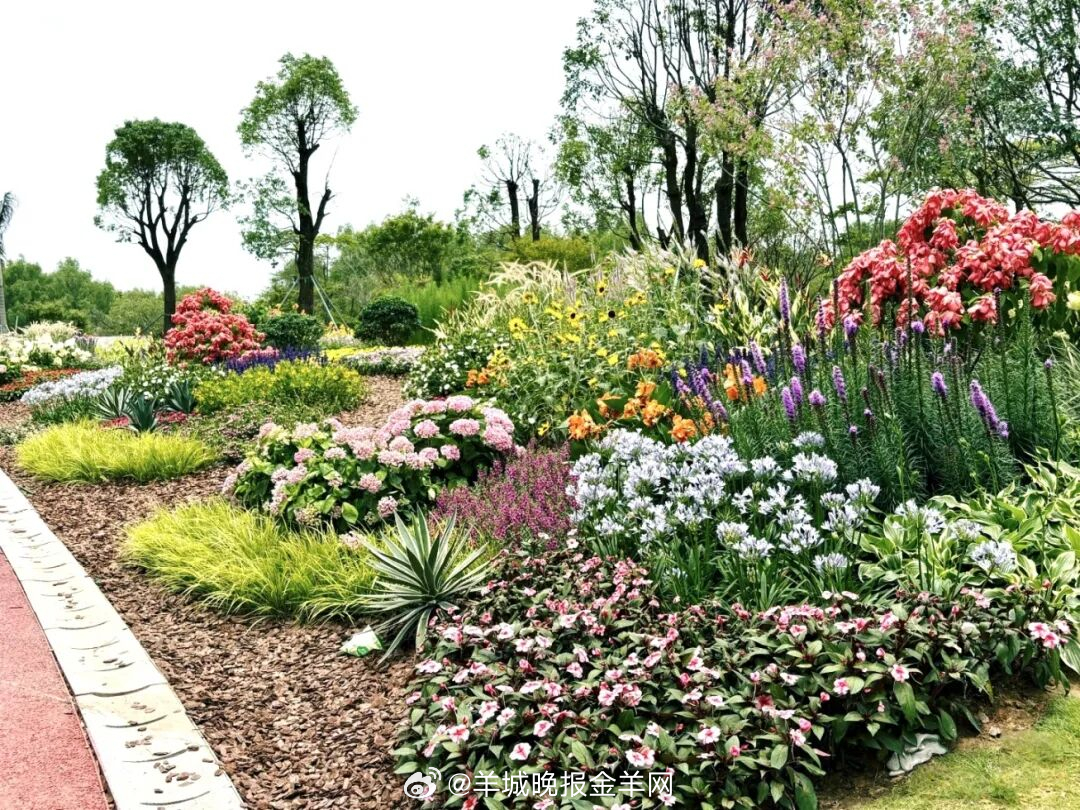 #晚安#新的一年，愿你继续做自己的头号粉丝，为自己的每一次成长喝彩。当你学会爱自