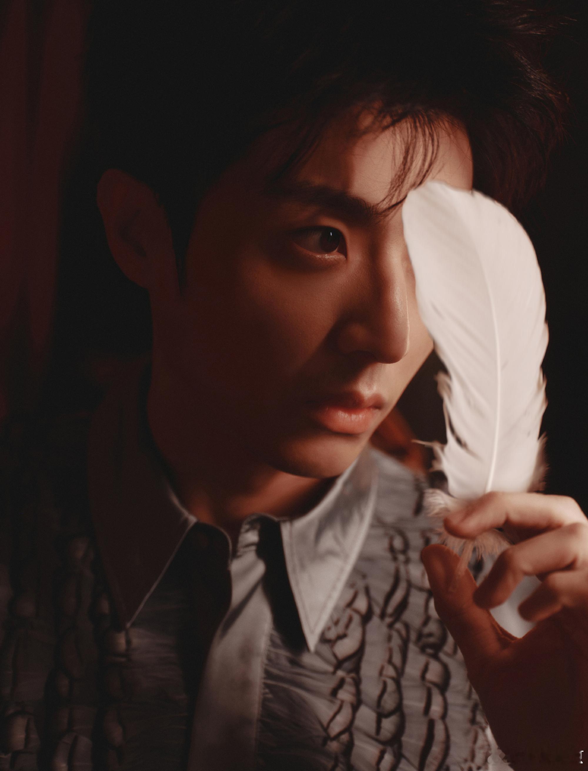 陈靖可不语一味地撒羽毛 与其说是撒羽毛，不如说陈靖可在进行一次“视觉播种”。每一