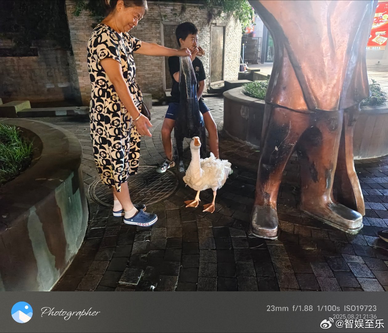 见过养各种宠物的，养鹅也不稀奇，只是不知道这满身乱毛的鹅，居然值几千块，我家那下
