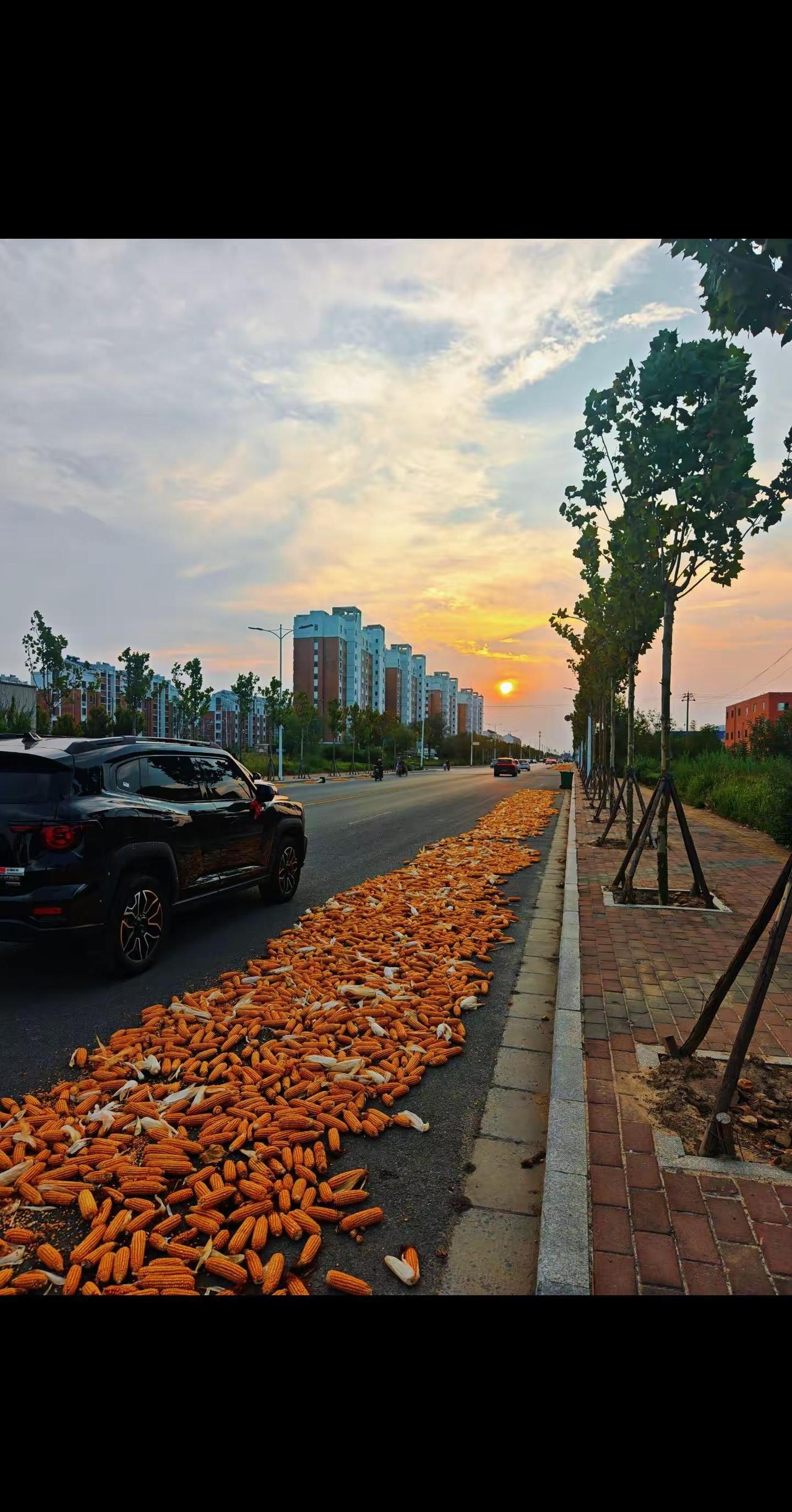 它静静停在那 就足以让我回眸好久 它不是一台冰冷的机器 也不是什么豪车 它是我二