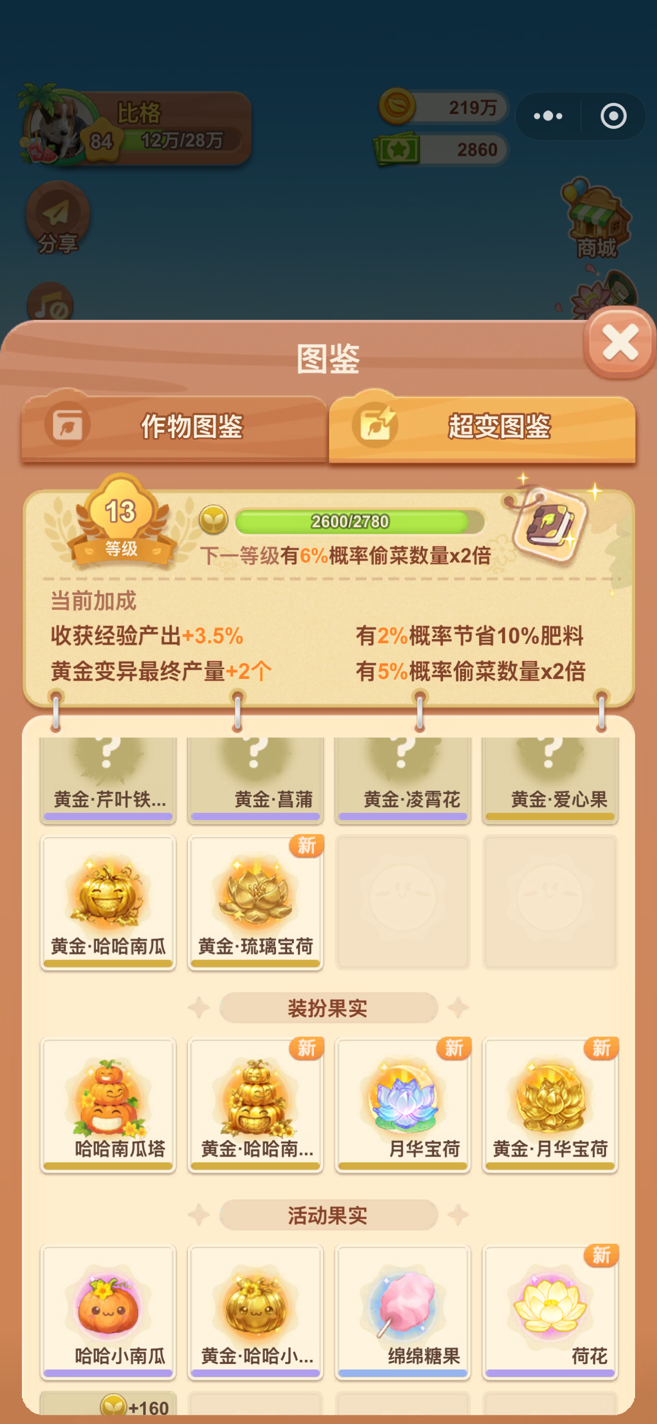 大荷花毕业了🎓 