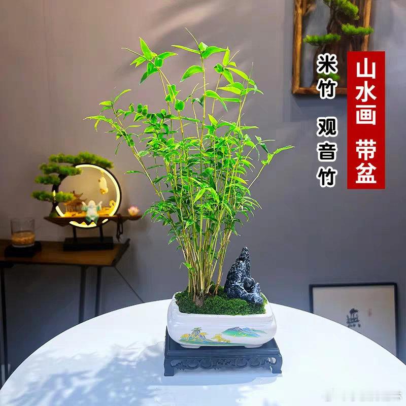 江边遇两位垂钓者，相隔不过十余步，却恍若两个世界。一人执长竿静立，目随波光，竿梢