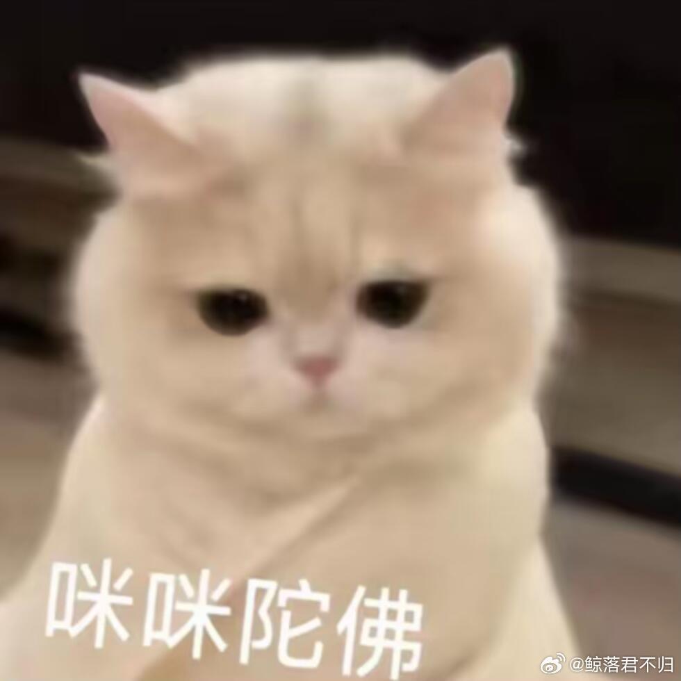 博君一肖 上午安，祝好🔆 