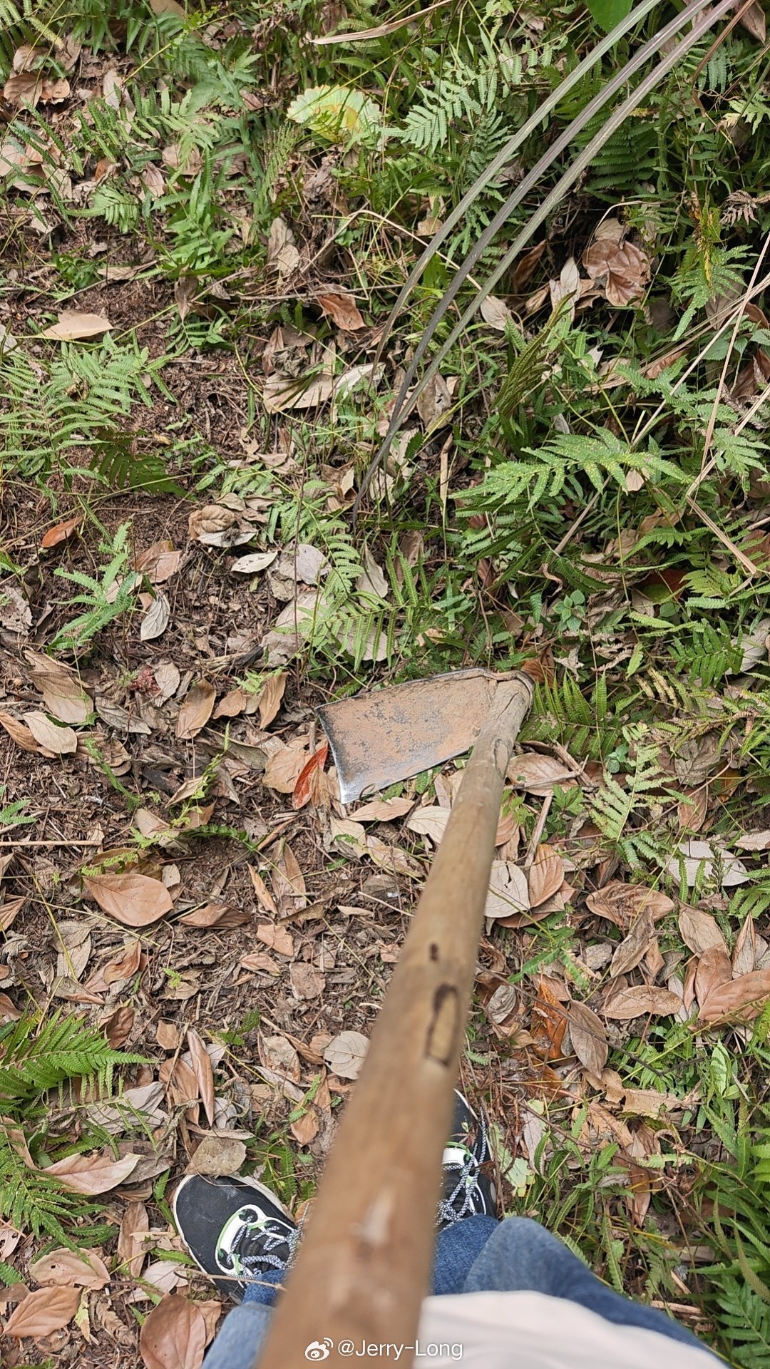 十多年没用过锄头了 内江·资中