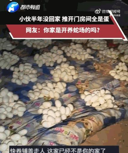 6月12日这天，网上传出一段让人既心酸又惊悚的视频。主角是个叫小张的江西农村小伙