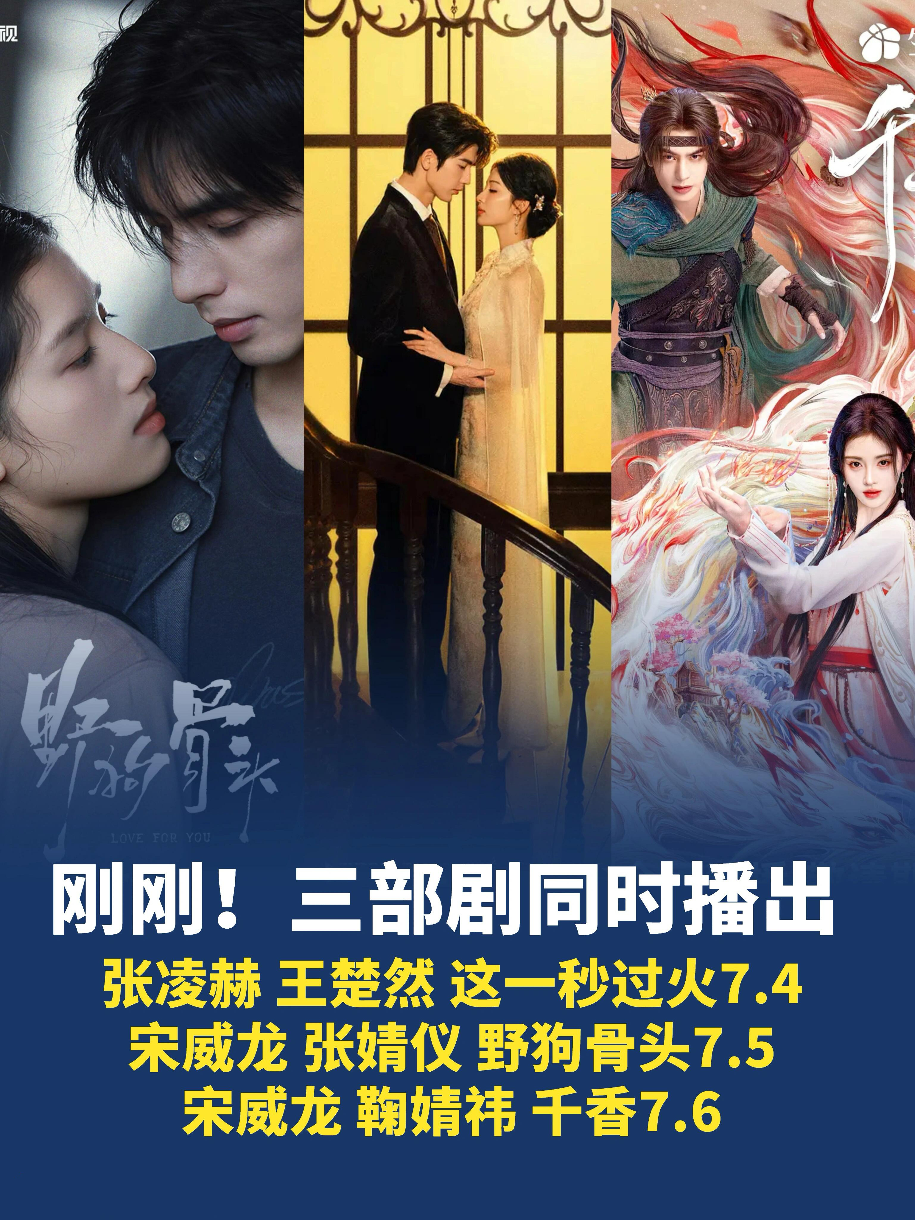张凌赫 王楚然《这一秒过火》7.4宋威龙 张婧仪 《野狗骨头》7.5宋威龙 鞠婧