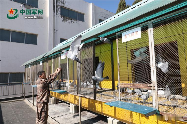 如今的现代战争，早已进入卫星组网、电子对抗、智能测算的信息化时代，无人机全天候侦